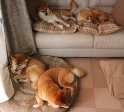 中小学体育课安全事故防控机制研究，体育课安全事故由谁负责